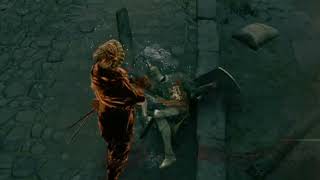 Trying to be a friendly invader again elden ring