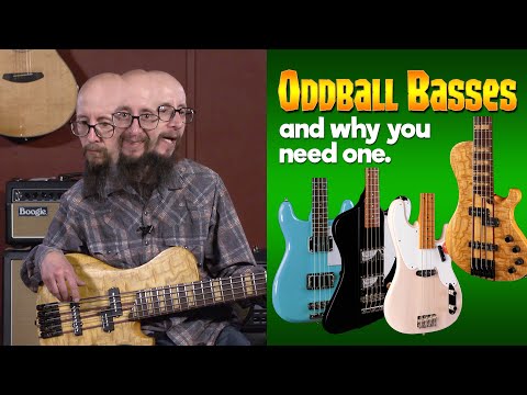 Fairly Odd Basses (for a unique sound!) - Little Guy with a Big Guitar!