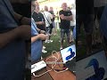 Inside a $1.2M purse pigeon race #shorts