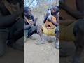 Their First Time Seeing Modern Things | Hadzabe & Chaba