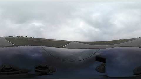 Model 3 Performance - Buttonwillow Session 3 360