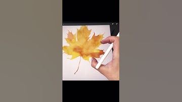 Fall maple leaf in Procreate #procreate #procreatetutorial #watercolor #artprocess
