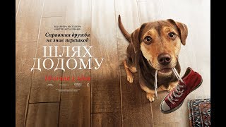 Шлях додому. У кіно 10 січня Шлях додому. У кіно 10 січня