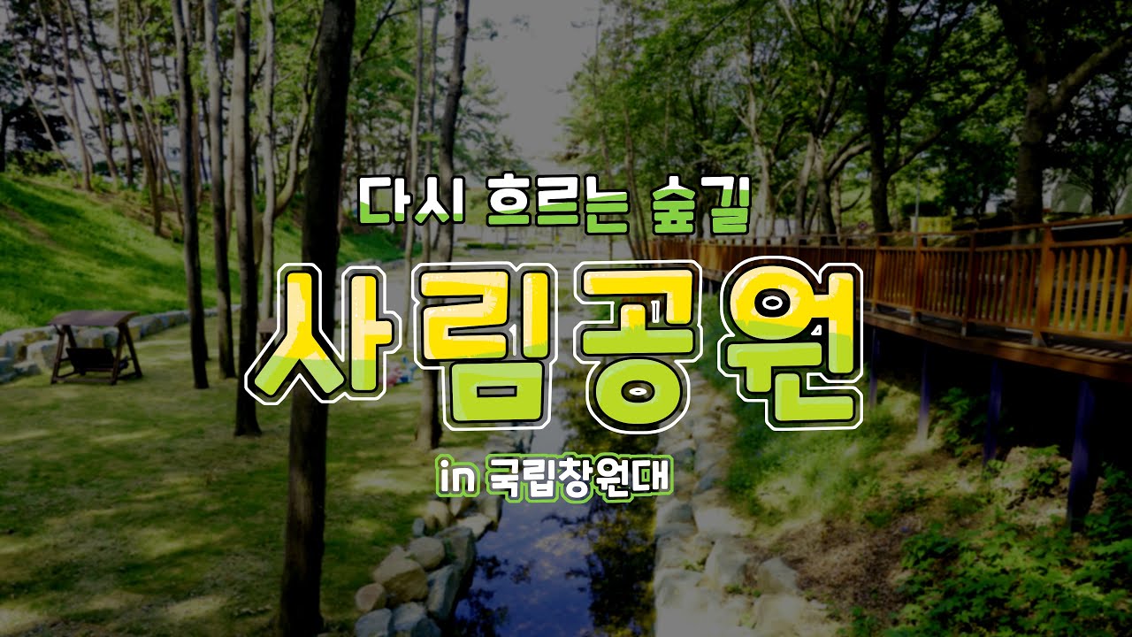 사림공원 대변신! 사림천과 송림숲이 살아나다 - YouTube