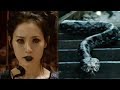 Harry Potter Nagini Fan Theory CONFIRMED in Final 'Fantastic Beasts' Trailer