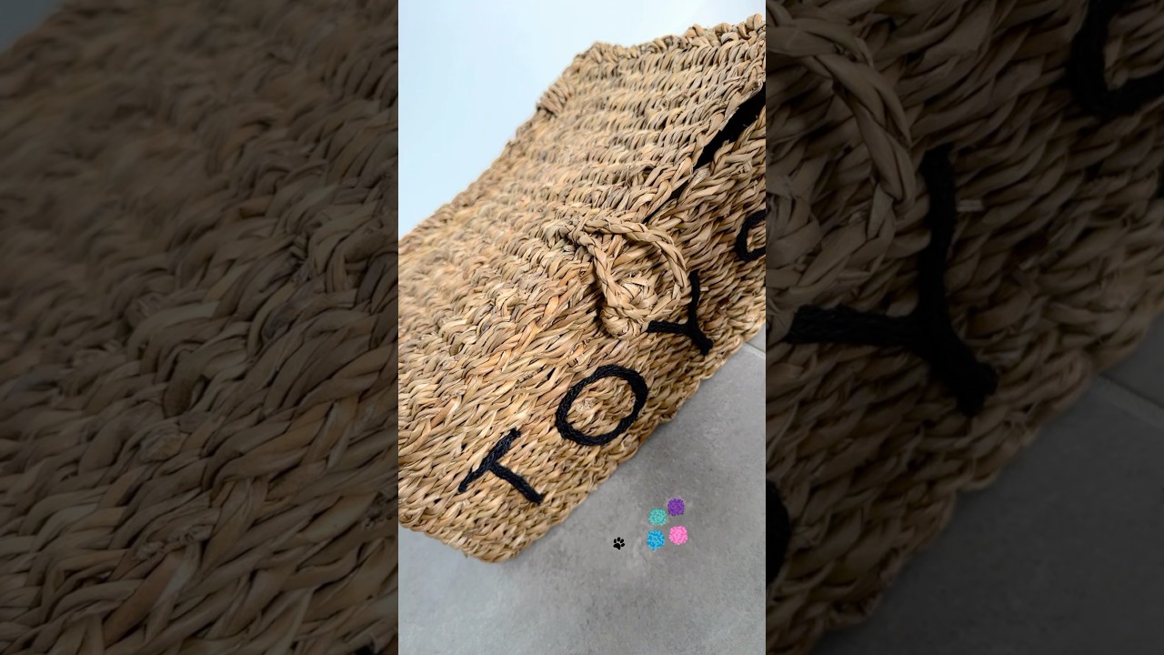 Best Cat Harness & Leash Box🐱✨!! 