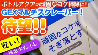 新商品GEXマルチスクレーパー使用レビュー！ボトルアクアリウム待望のカーブスクレーパーでガラスの苔落としもバッチリ？ #アクアリウム