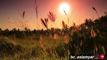 ‏﴿  ذَلِكَ جَزَاءُ أَعْدَاءِ اللَّهِ النَّارُ ﴾  / ياسر الدوسري - تلاوة تحبيرية