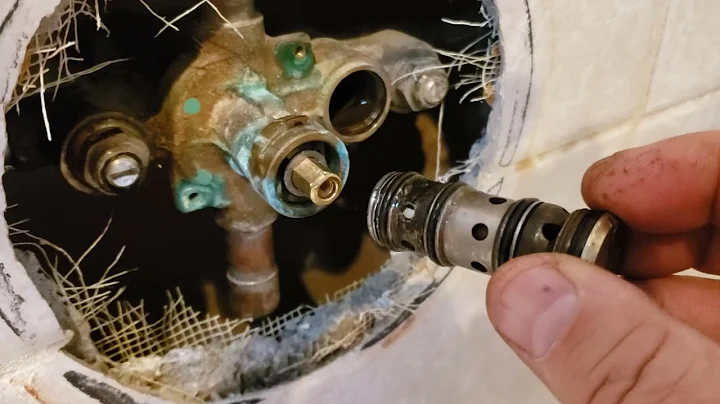 Moen Faucet Balancing Spool 1423 Cleaning Overview - No Hot Water