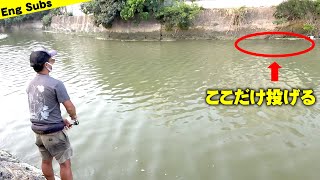 無限に40UPのテレピアをポッパーで釣る方法