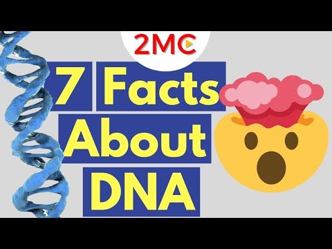 7 Mind Blowing Facts About DNA | What is DNA?