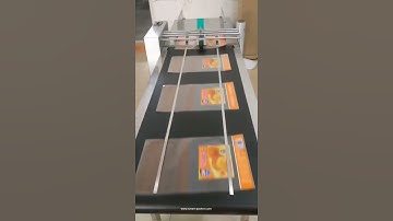 Empty big bag pouch paging feeding dispensing machine bag paging conveyor