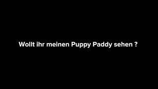 Puppy Paddy #puppy #abdl #diaper #windel #padded