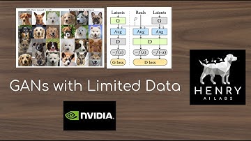 Training GANs with Limited Data