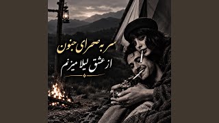 دول رباب دیوانگان اموتو شوقی: سر به صحرای جنون