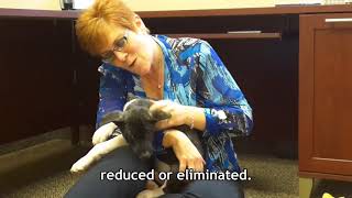 Tax Reform The Impact On Itemized Deductions