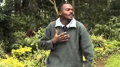 Wanjohi king david-NGAI WIMWEGA
