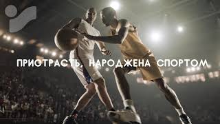 Intersport Basketball