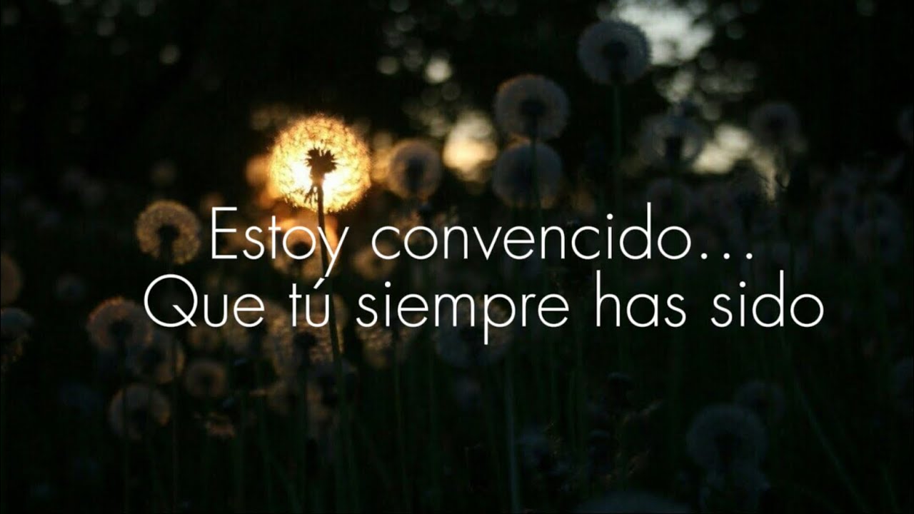 Estoy Convencido 💕 - Averly Morillo // Letra