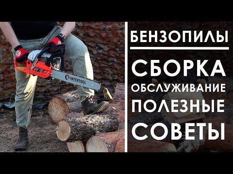 Как правильно собрать, запустить и обслуживать бензопилу.