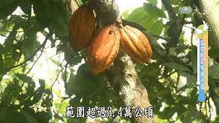 【小主播看天下WOW】20180827 - 象牙海岸守護生態