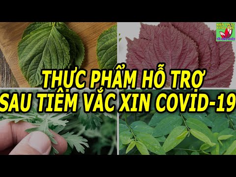 Video: Giống Chó Chăn Cừu Vùng đất Thấp Ba Lan Ít Gây Dị ứng, Sức Khỏe Và Tuổi Thọ