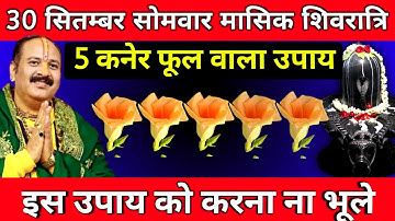 30 सितम्बर सोमवार मासिक शिवरात्रि  को 5 कनेर फूल वाला उपाय जरूर करें || Pradeep Ji Mishra