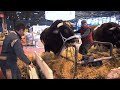 Une anne aux cts des agriculteurs franais  le salon de lagriculture  paris