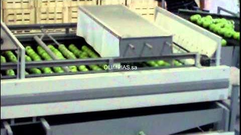Γραμμή ταξινόμησης αχλαδιών.Grading , Sizing machines processing classification lines for pears.