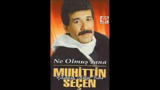 Muhittin Seçen - Doymak İstiyorum