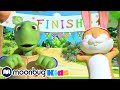 The Tortoise and the Hare | BEST Animal Songs @Cocomelon - Nursery Rhymes | Sing Along With Me!