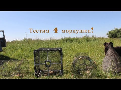Тестим 4 мордушки!