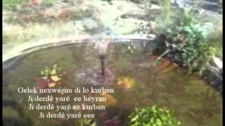 Hesenê Cizrawî - Tirsim Bimrim Resimi