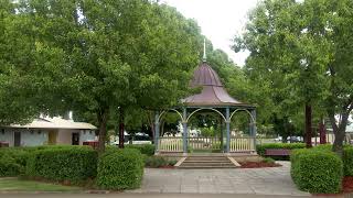 Colac victoria