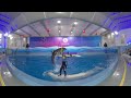 Сочинский дельфинарий VR - 360 °