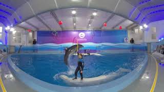 Сочинский дельфинарий VR - 360 °