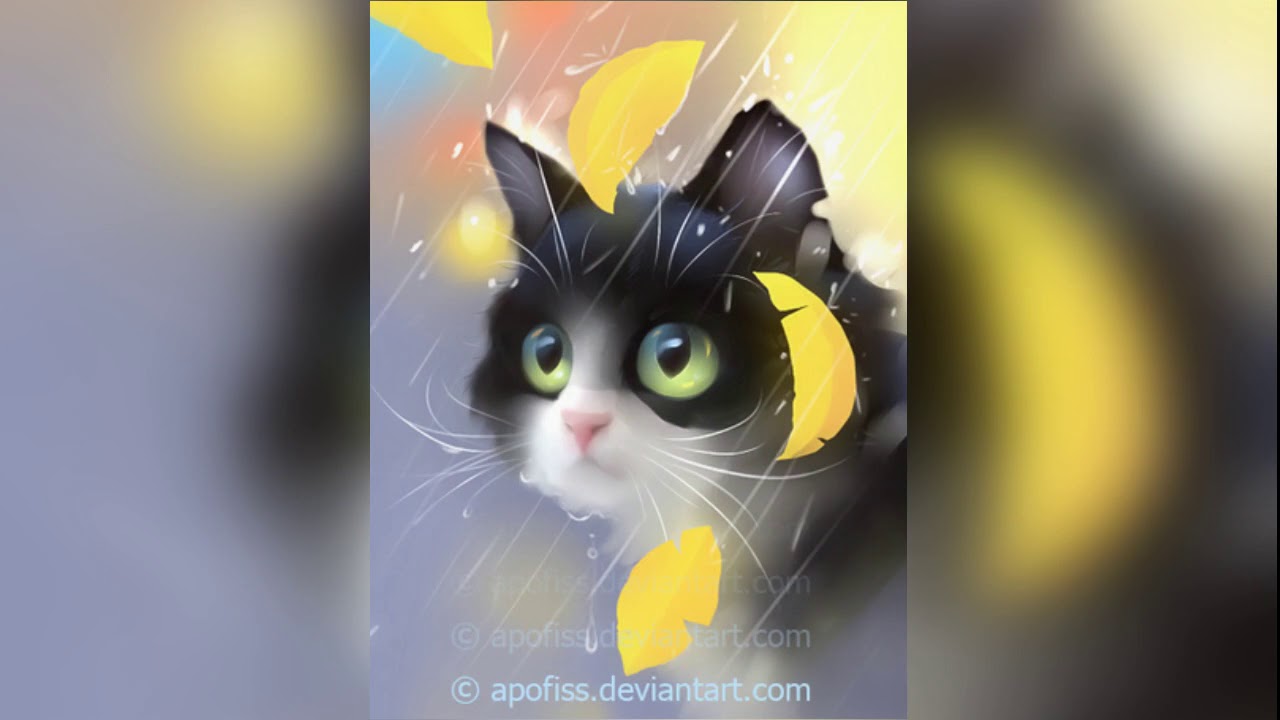Детям. Почему у кота нет зонта?