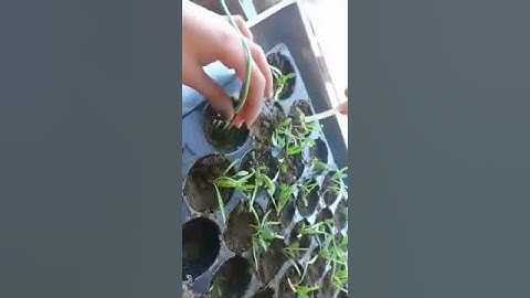 sensor de humedad para invernadero a escala