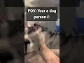 When you are born for dogs 🐕