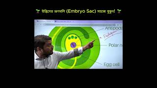 🌱 Embryo Sac Structure Explained | 7 Cells 8 Nuclei Trick | HSC Biology 2026 | Easy Botany