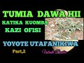 TUMIA DAWA HII YA MLIPULIPU KUOMBA KAZI KATIKA OFISI YOYOTE UTAFANIKIWA No2