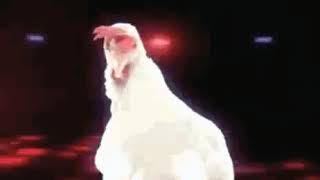 chicken GIF 2017😂 LOL