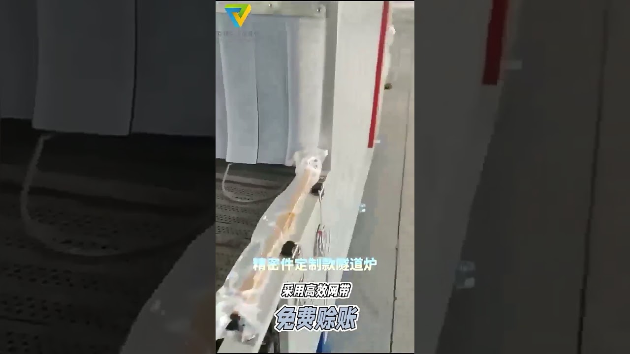 Small hot air circulation tunnel furnace and its drying line, mesh belt type.