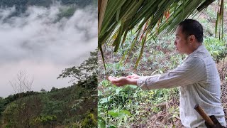 The man went into the forest, built his dream house out of bamboo, survived in the rainy season