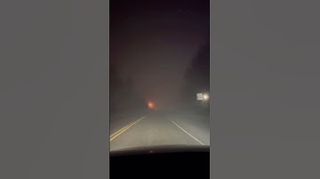 Which light is better: White LED or Yellow Halogen?💡#Shorts #cars