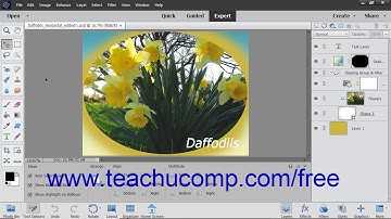 Photoshop Elements 2019 Tutorial Color Mode Conversion Adobe Training