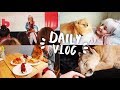 VLOG НАШ ПЕРВЫЙ РАЗ! ФЕСТИВАЛЬ PETSHOP DAYS ПИТЕР!  ПОЕЗДНОЙ ВЛОГ