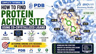 How to Find the Active Site of a Protein Using a Co-Crystallized Ligand | PDB Tutorial