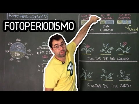 Fotoperiodismo - Fisiologia Vegetal - Aula 33: Botânica (Prof. Guilherme)