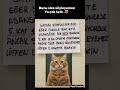 Bunu size söyleyemez🤣🤣#cat #kedi #komedi #funny #komikbnwbb #komik #humor #comedy #mizah #keşfet